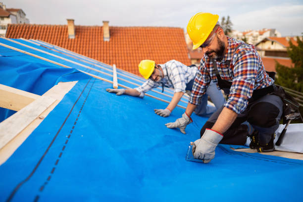 Roof Gutter Cleaning in Itasca, TX